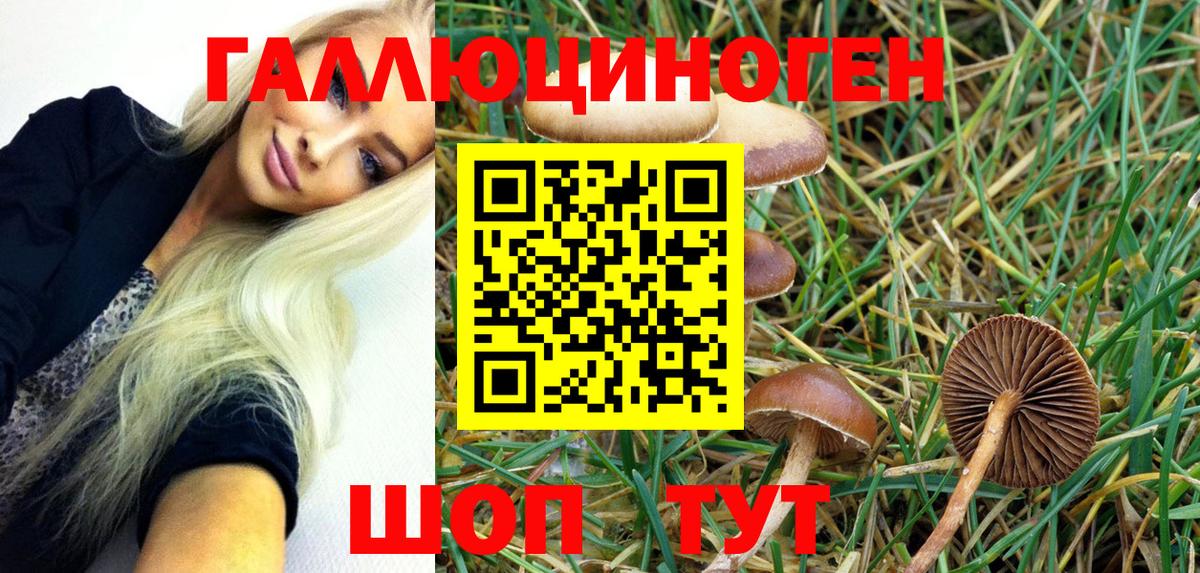 Псилоцибиновые грибы ЛСД Жигулёвск