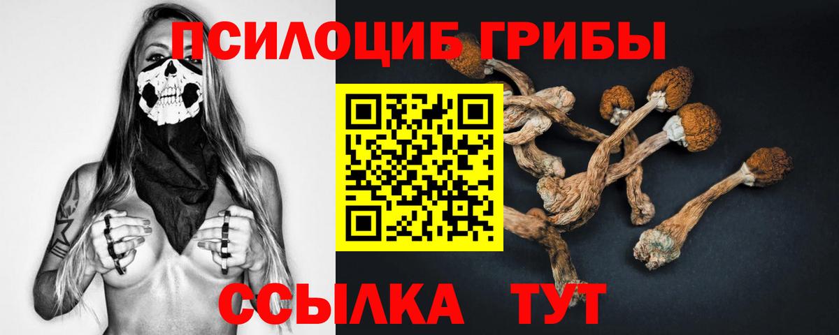 Галлюциногенные грибы GOLDEN TEACHER  Вход с VPN  Псилоцибиновые грибы прущие грибы  Жигулёвск 